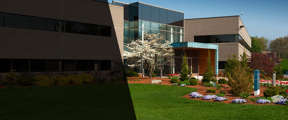 Bullhead City Landscapers