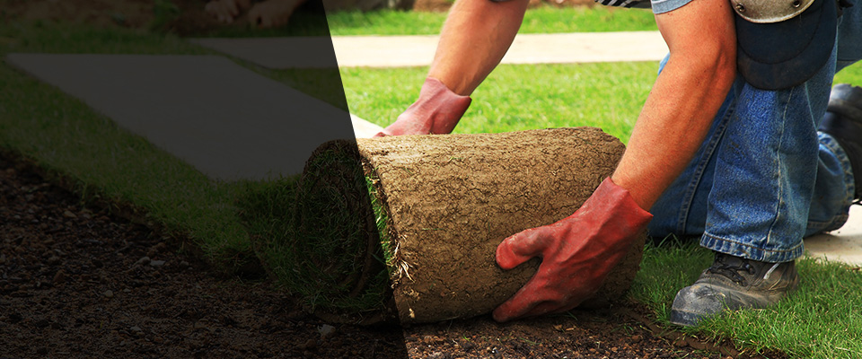 Bullhead City Landscapers